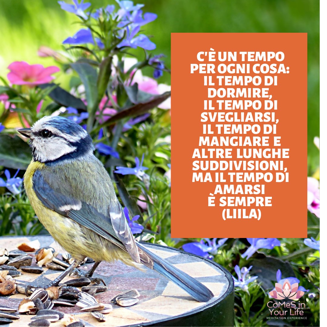 Il tempo di...