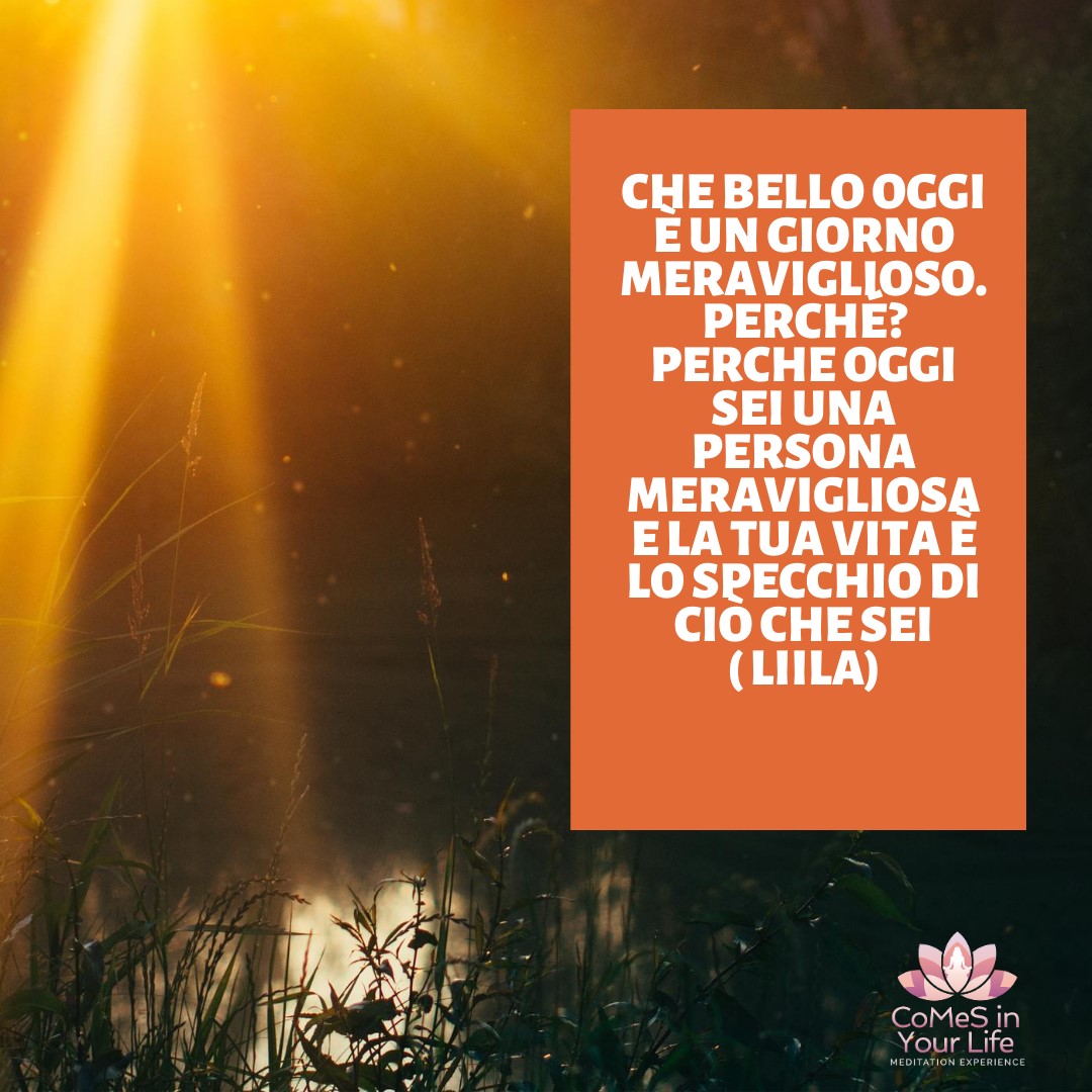 Meravigliosa vita
