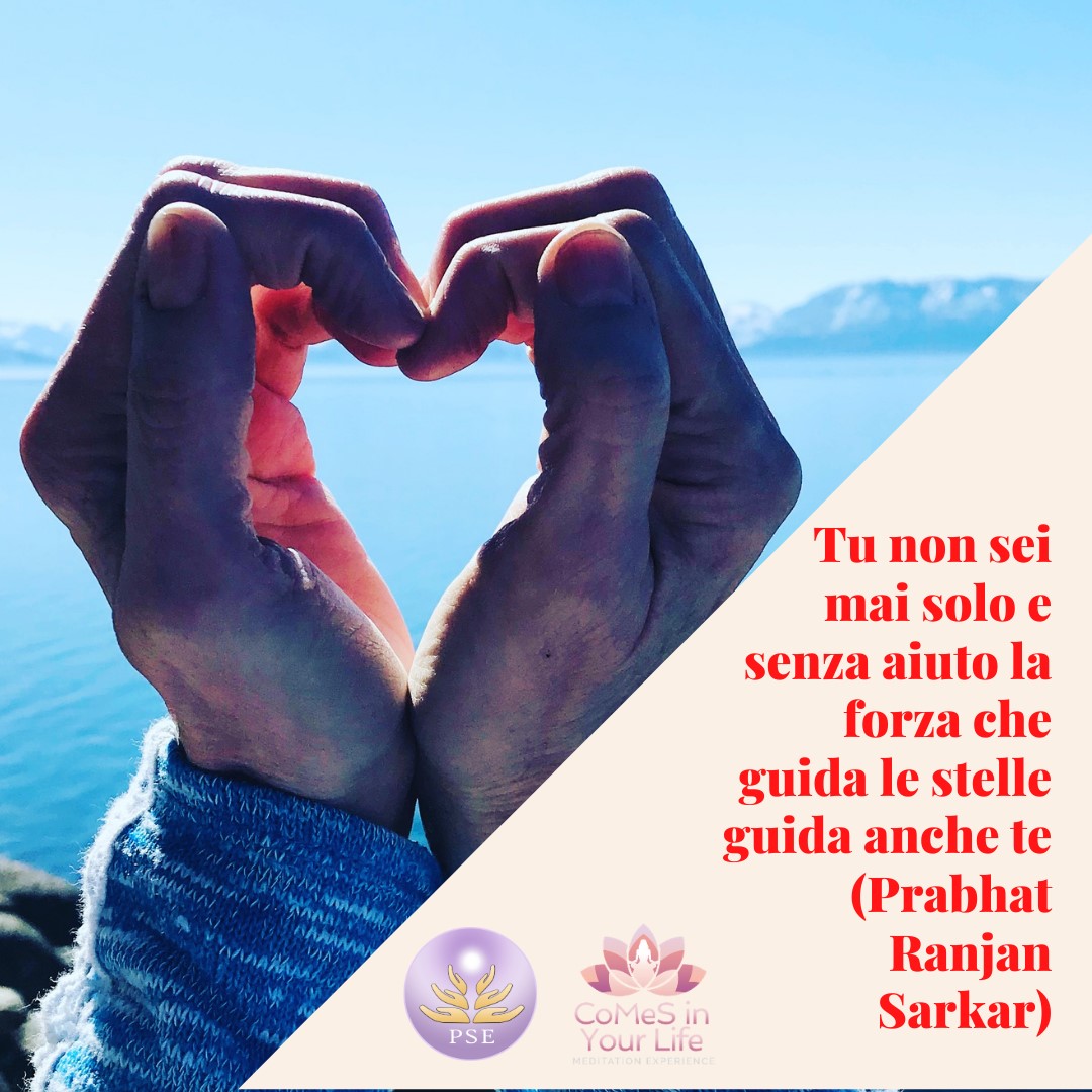 La forza