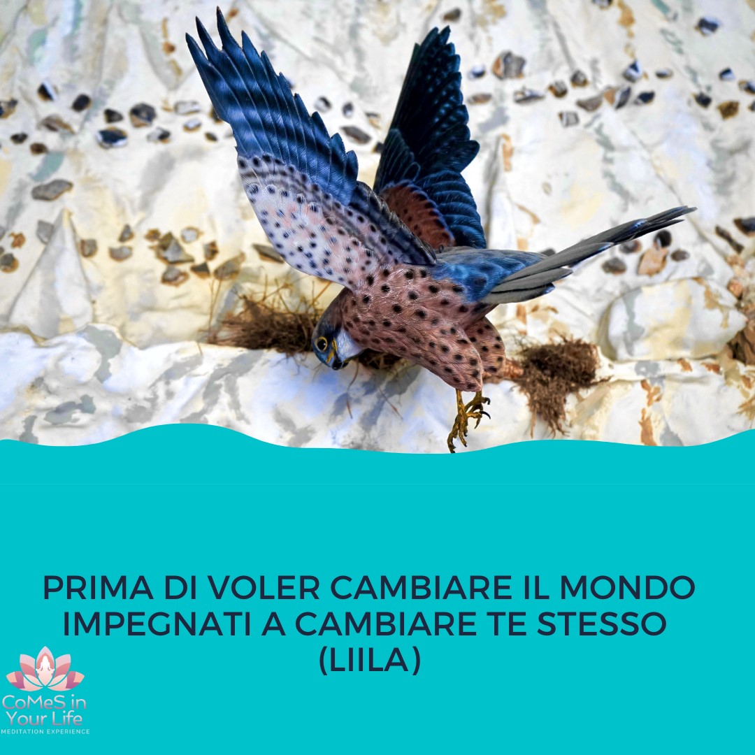 Cambia