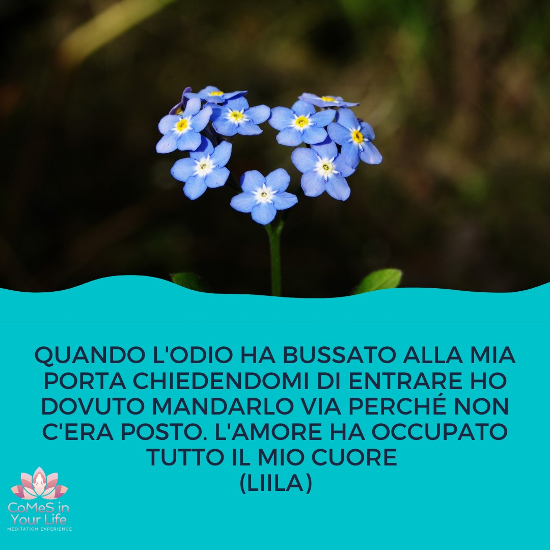 Tutto pieno