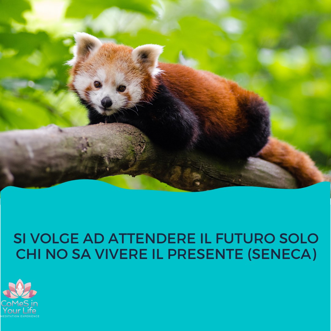 Qui ed ora