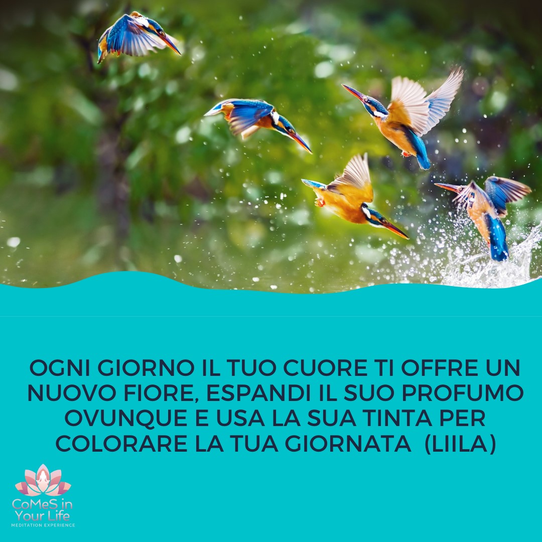 Un nuovo fiore