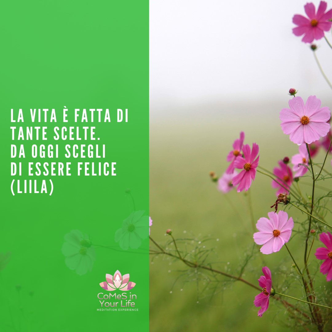 Le scelte