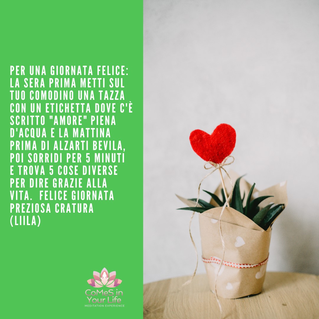 Felice giornata