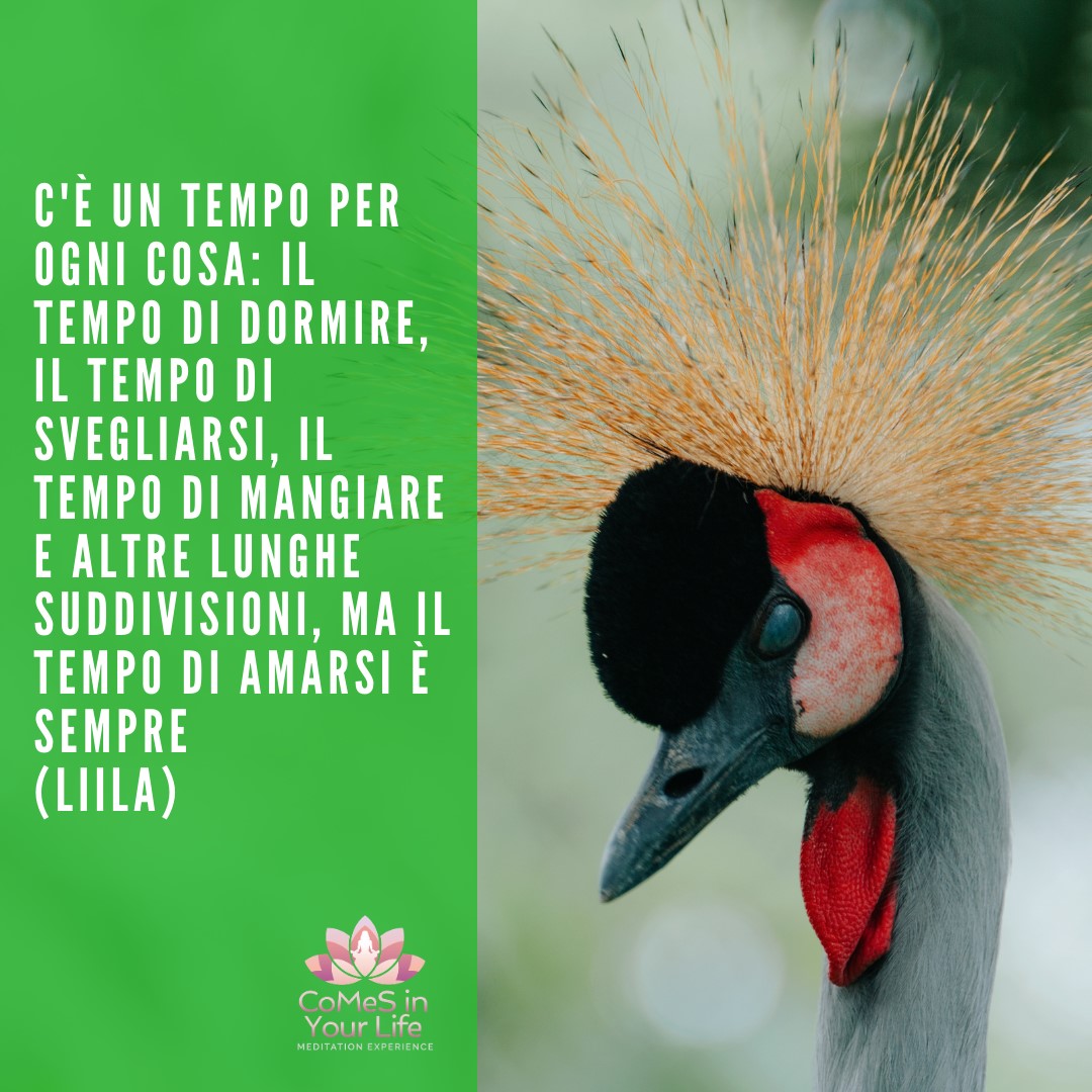 E' l'ora di Amarti
