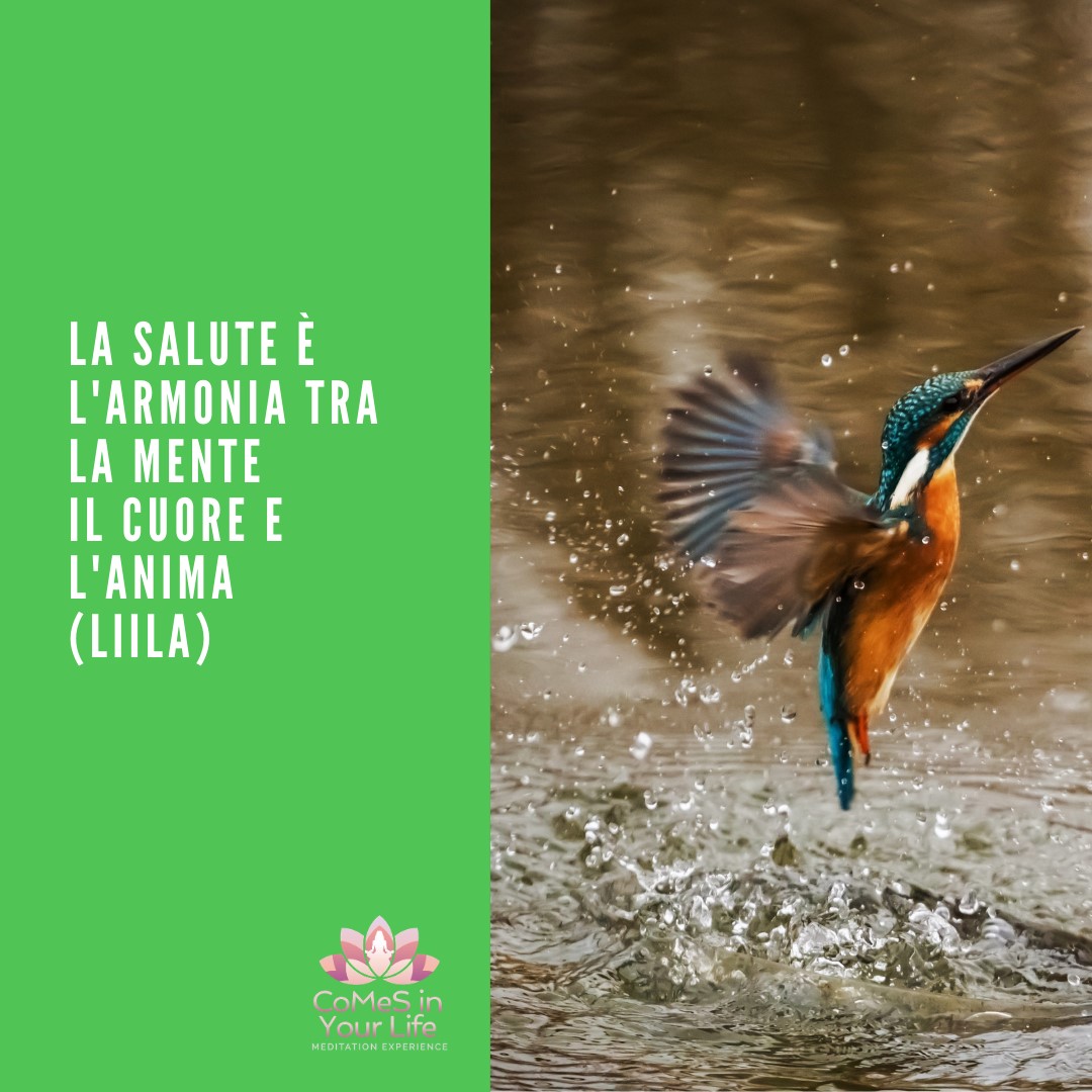 La salute