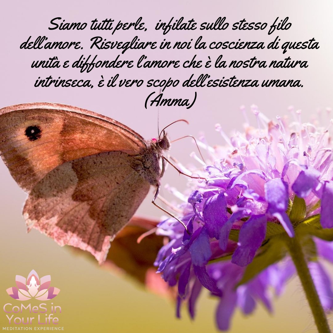 Noi perle