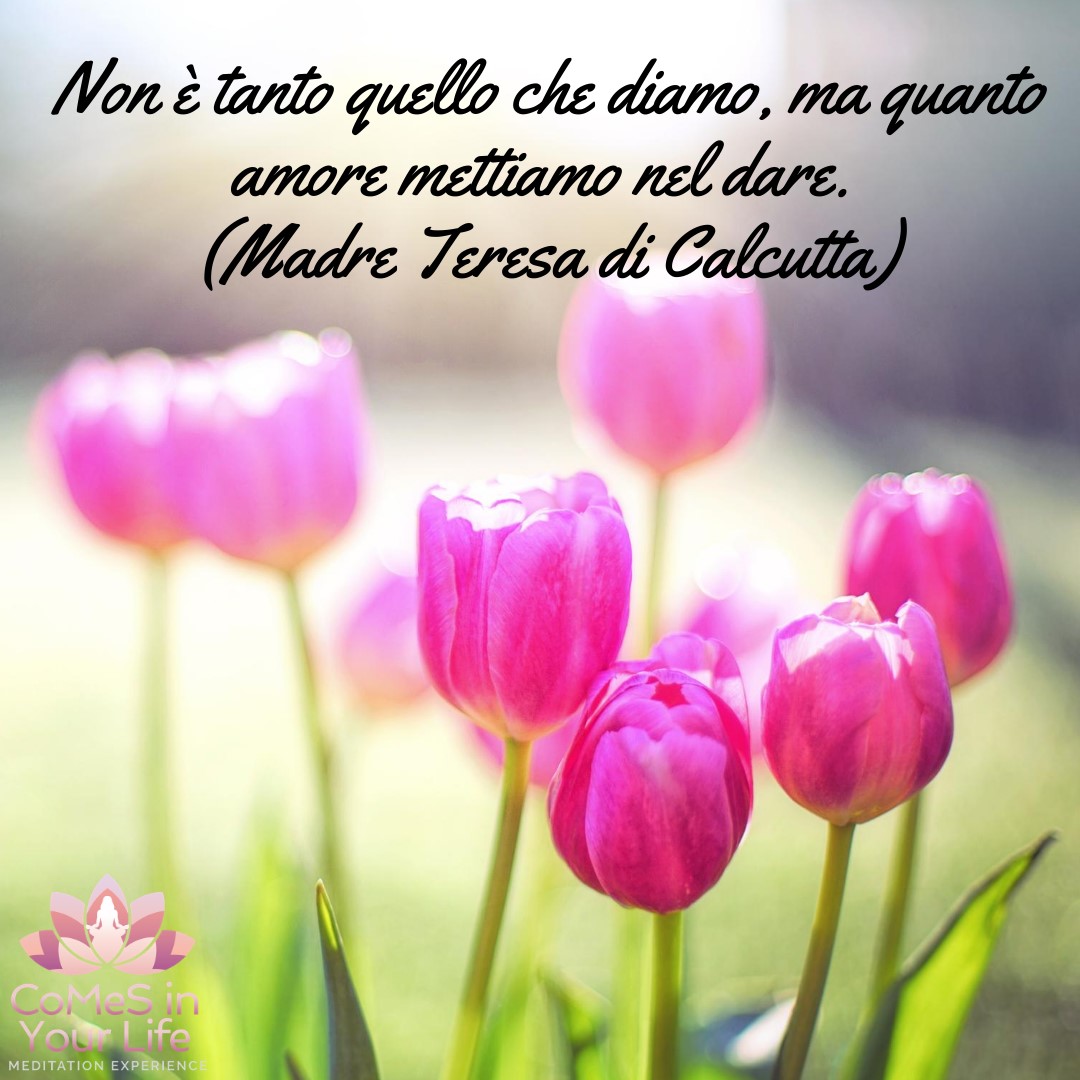 Quanto Amore