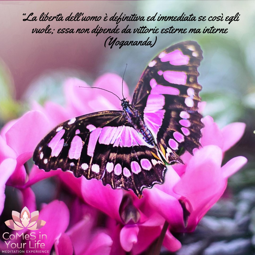 La Libertà