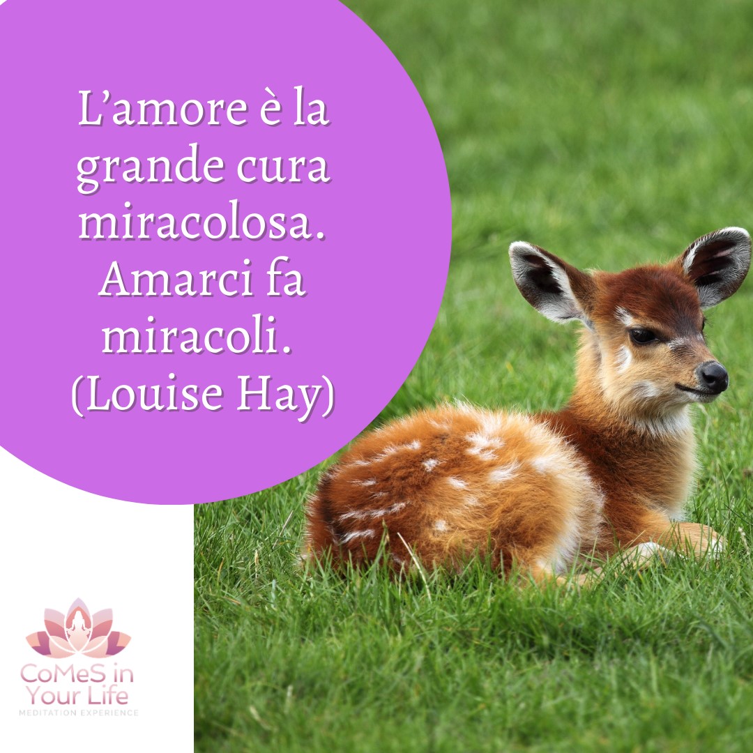 L'Amore