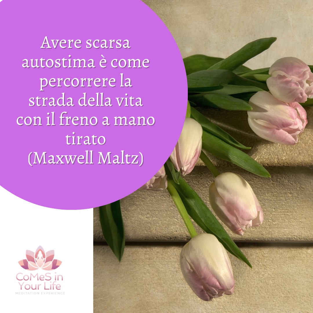 Il freno