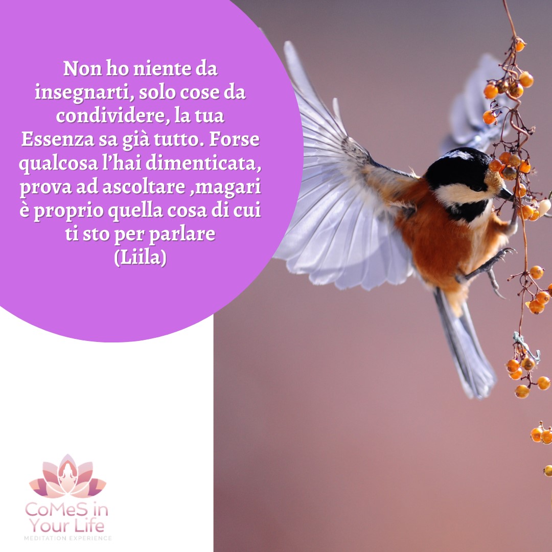 Condivisione