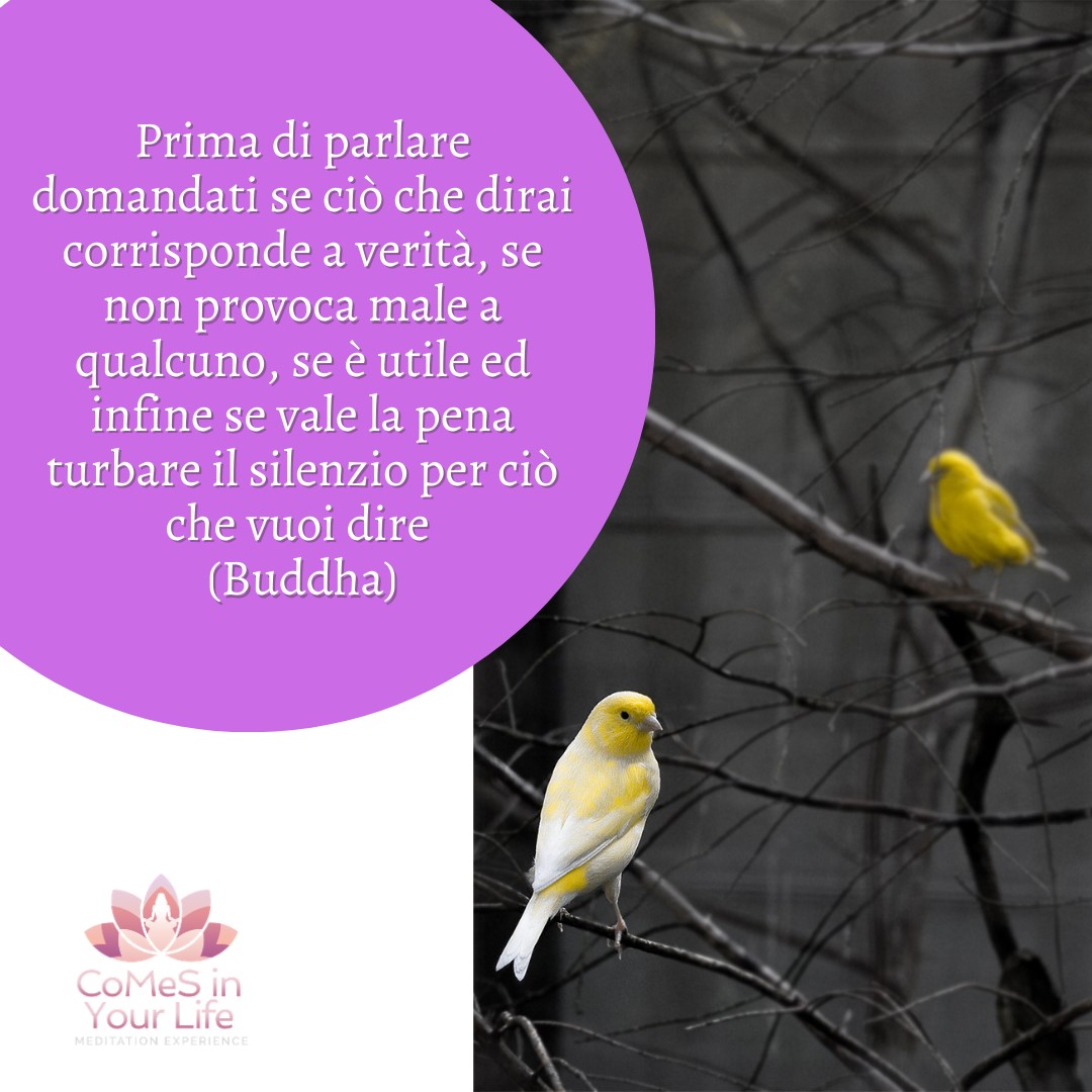 Prima...